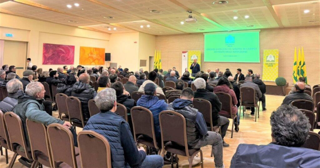 Agricoltura, Coldiretti: “Ricostruire l’olivicoltura post Xylella”