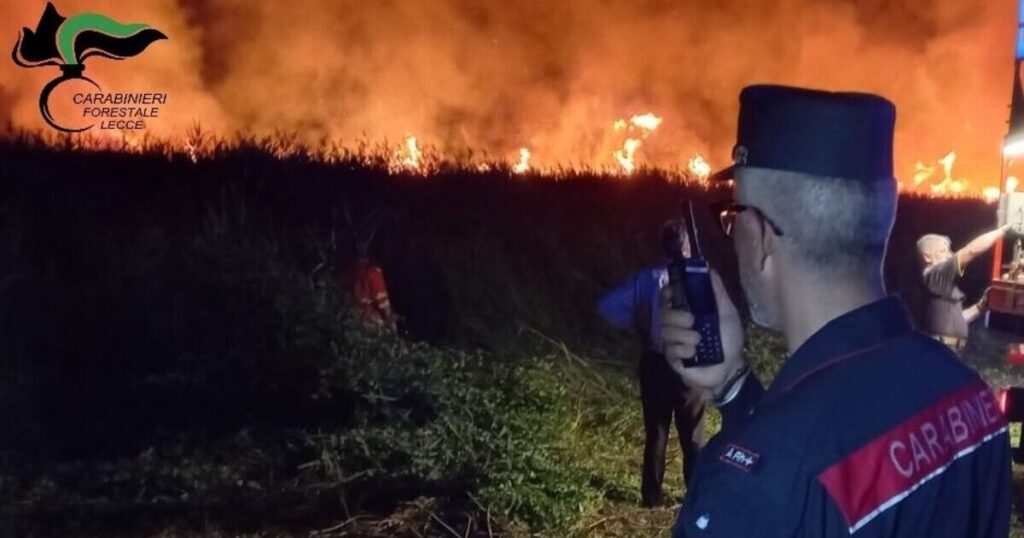 Incendi boschivi: prevenzione, indagini e arresti da parte dei Carabinieri